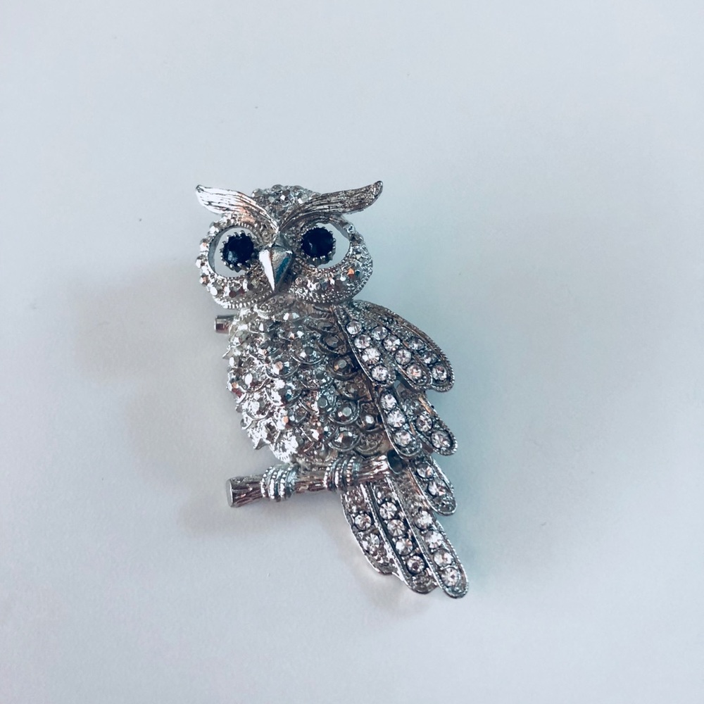 💫NEW💫 Owl Pin